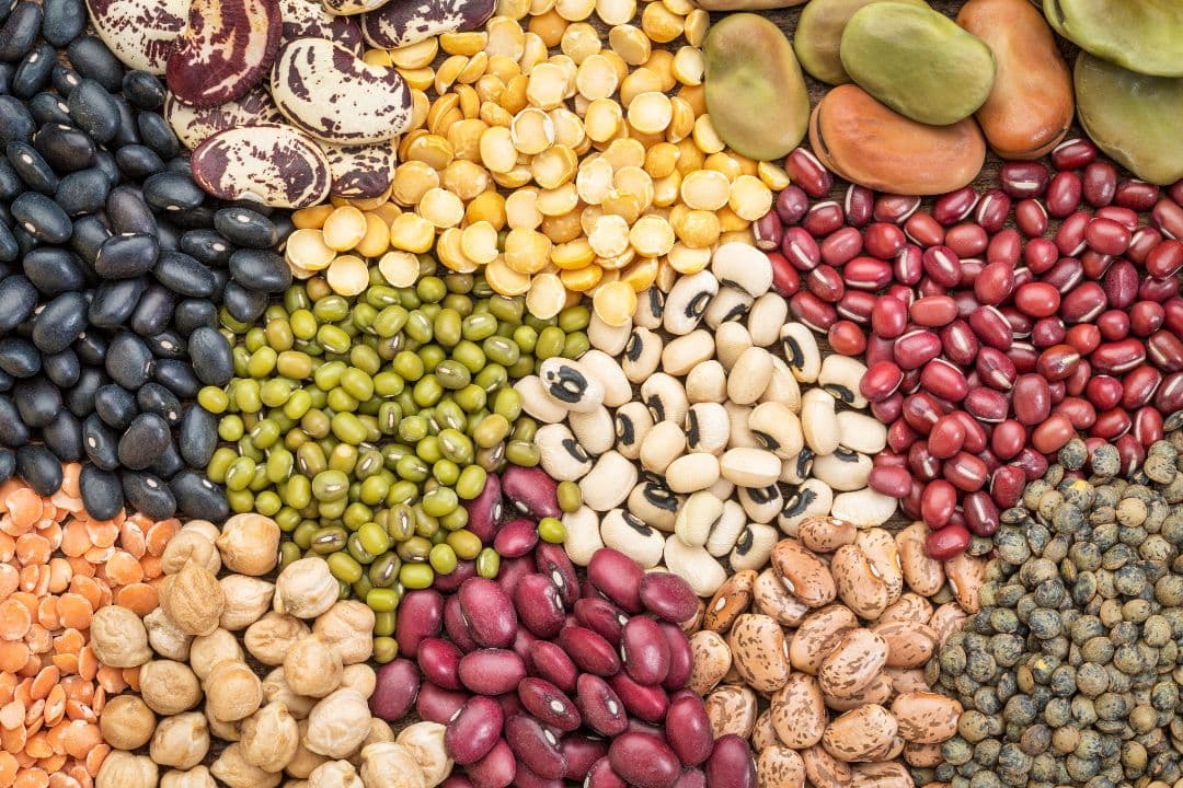 Pulses