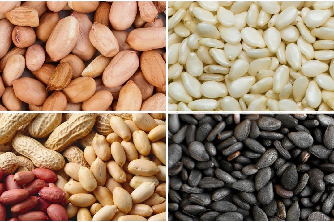 Oilseeds